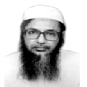 মাওলানা আবু তাহের মেছবাহ