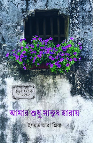 আমার শুধু মানুষ হারায়