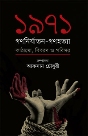 ১৯৭১ গণনির্যাতন-গণহত্যা কাঠামো, বিবরণ ও পরিসর