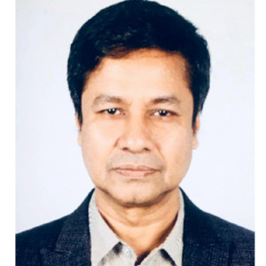 আহমেদ মাহমুদুল হক 