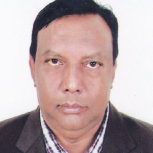 কামরুল হাসান মল্লিক