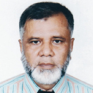 মো. হেলাল উদ্দিন হাওলাদার