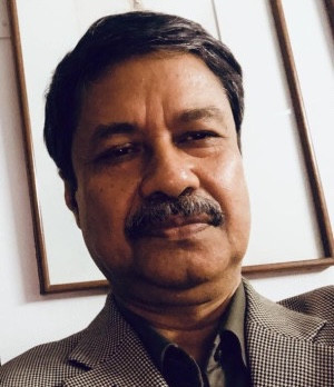 আহমেদ মাহমুদুল হক 